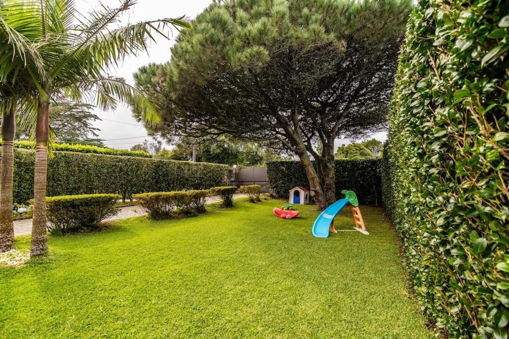 Apartamento Do Pinheiro São Vicente Ferreira Dış mekan fotoğraf